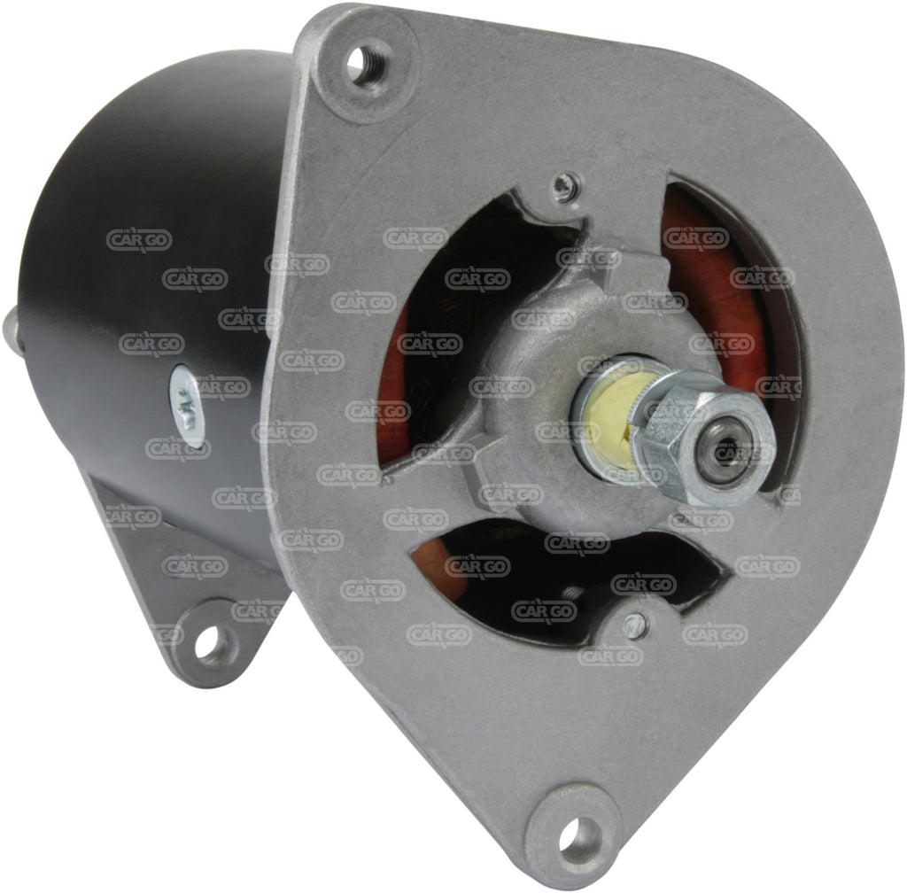 Dynamo FOR Austin Lucas Ford Case Lotus MG Morris Perkins Triumph 12 Volt 22 AMP